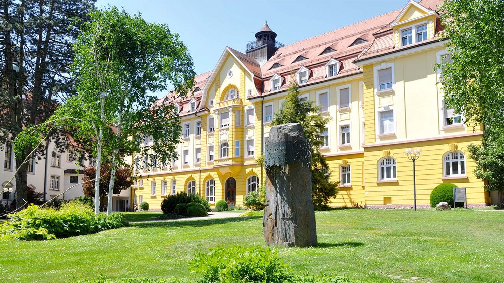 Das Herbstsymosium für Psychiatrie findet im historischen Festsaal St. Vinzenz des Vinzenz von Paul Hospitals statt
